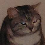 سامسنج Profile Picture