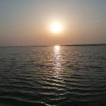 مهند. Profile Picture