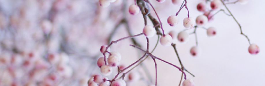 نسمة وردة Cover Image