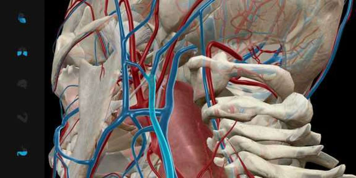 Visible Body 3d Hu Torrent Windows .rar Ultimate Serial