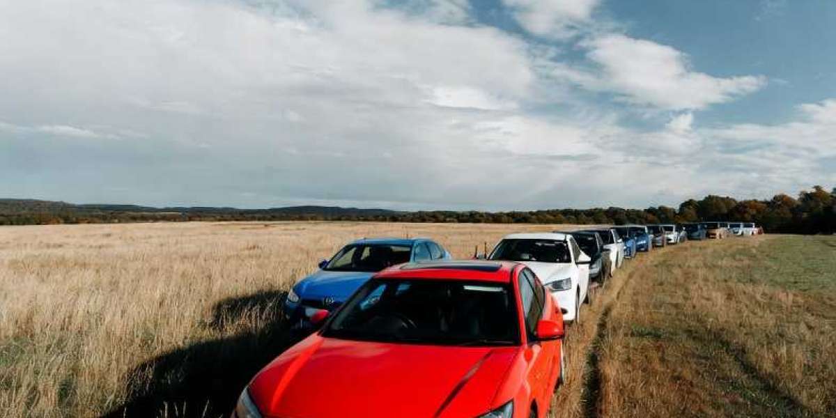 Why Imported Toyota Camry Hybrids Face Early Battery Imbalance After Customs Clearance