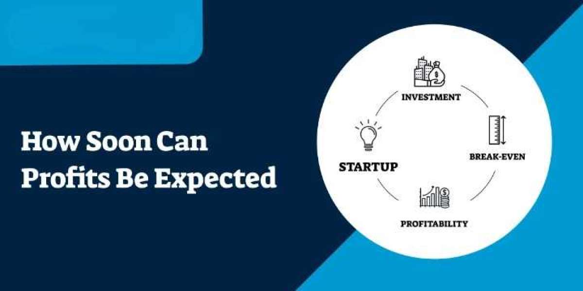 Small Business Success Timeline: How Soon Can Profits Be Expected?