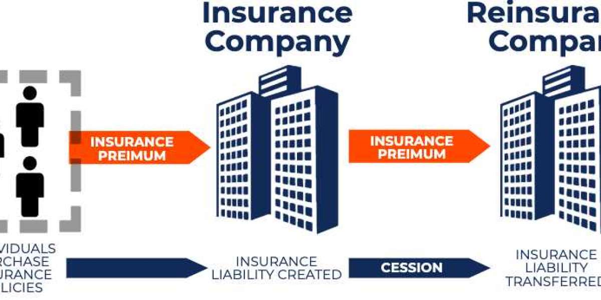 The Competitive Landscape and Reinsurance Market Share Distribution Among Leading Global Entities