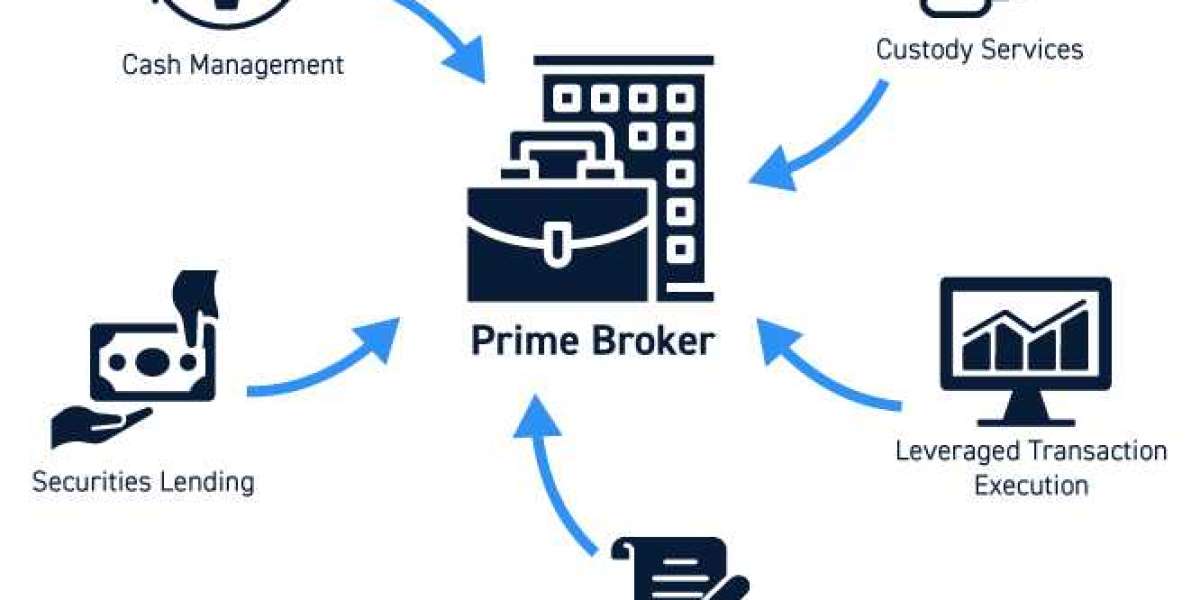 Strategic Evolution of Wealth Management Services and Personalization in the Securities Brokerage Market