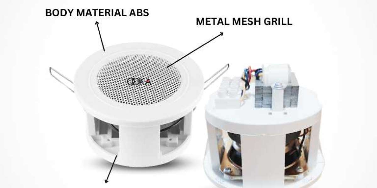 Ceiling Speaker for Gym with Powerful & Clear Sound