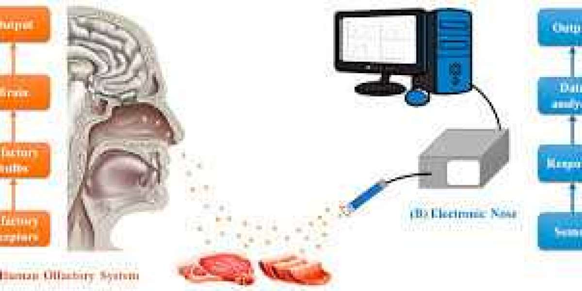 Electronic Nose Market Growth 2026-2035: Environmental Monitoring Accelerating Technology Adoption