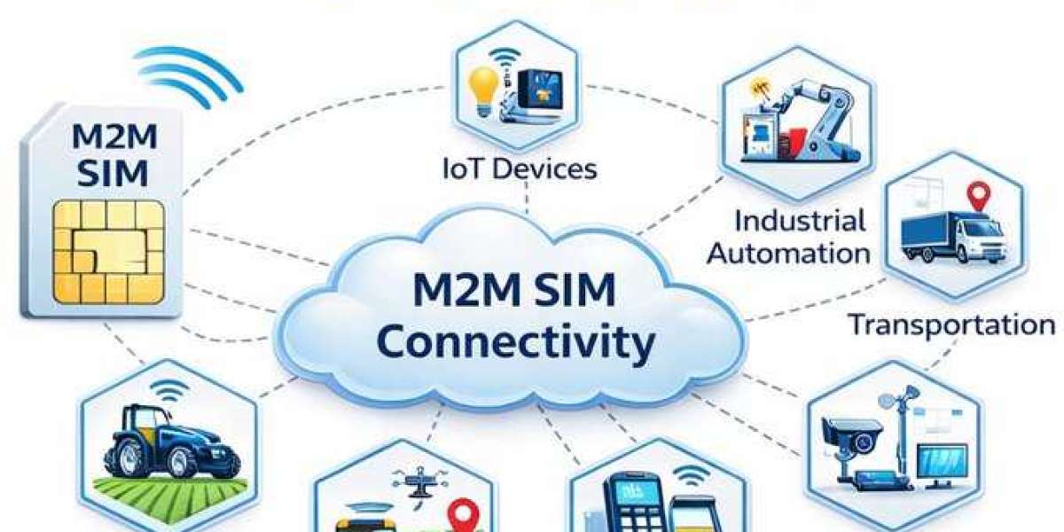 Enterprise WiFi Access Point Solutions Supporting Modern Business Network Infrastructure