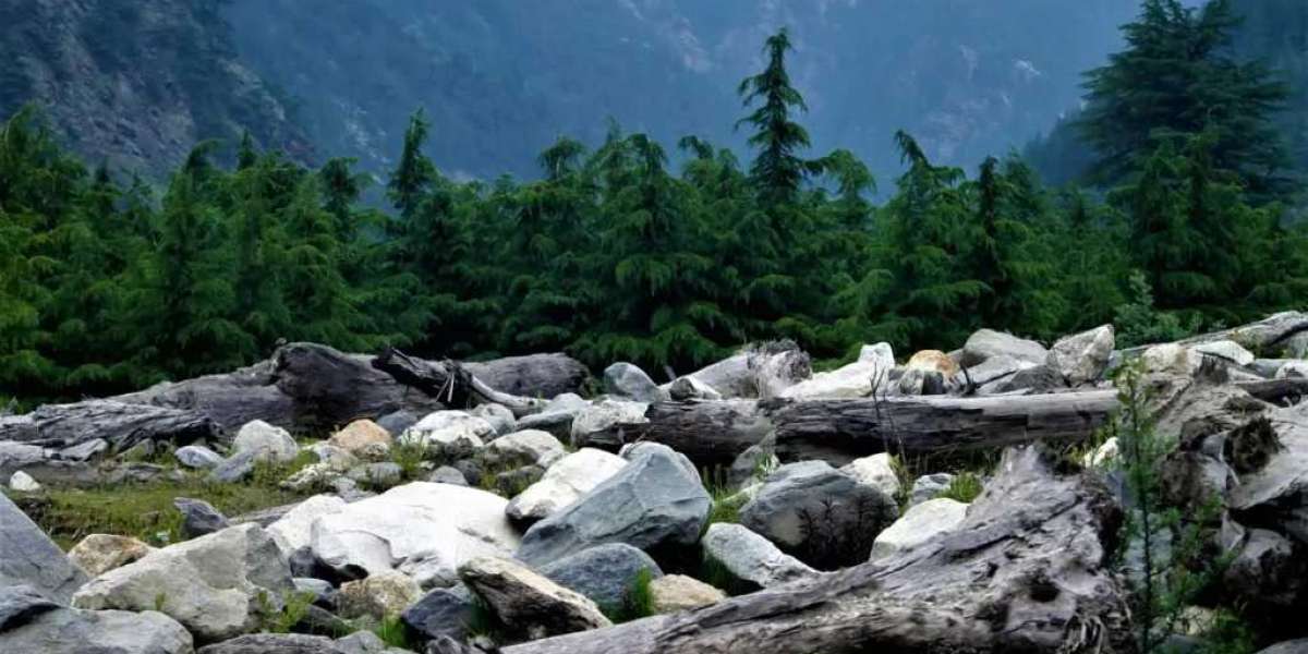 Harsil Valley Tour Package | Junglee Rasta