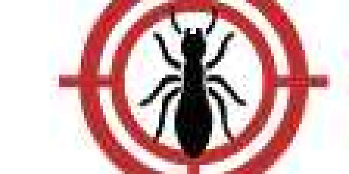 Del Valle Pest Control Reviews: Finding a Trusted Partner for Pest-Free Living