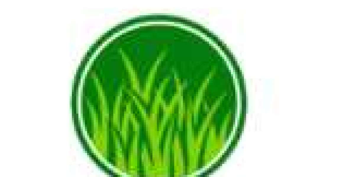 Turf Installation Services: Building Beautiful Lawns That Last