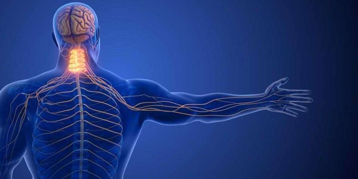 Comprehensive Pain Solutions for Chronic and Acute Pain
