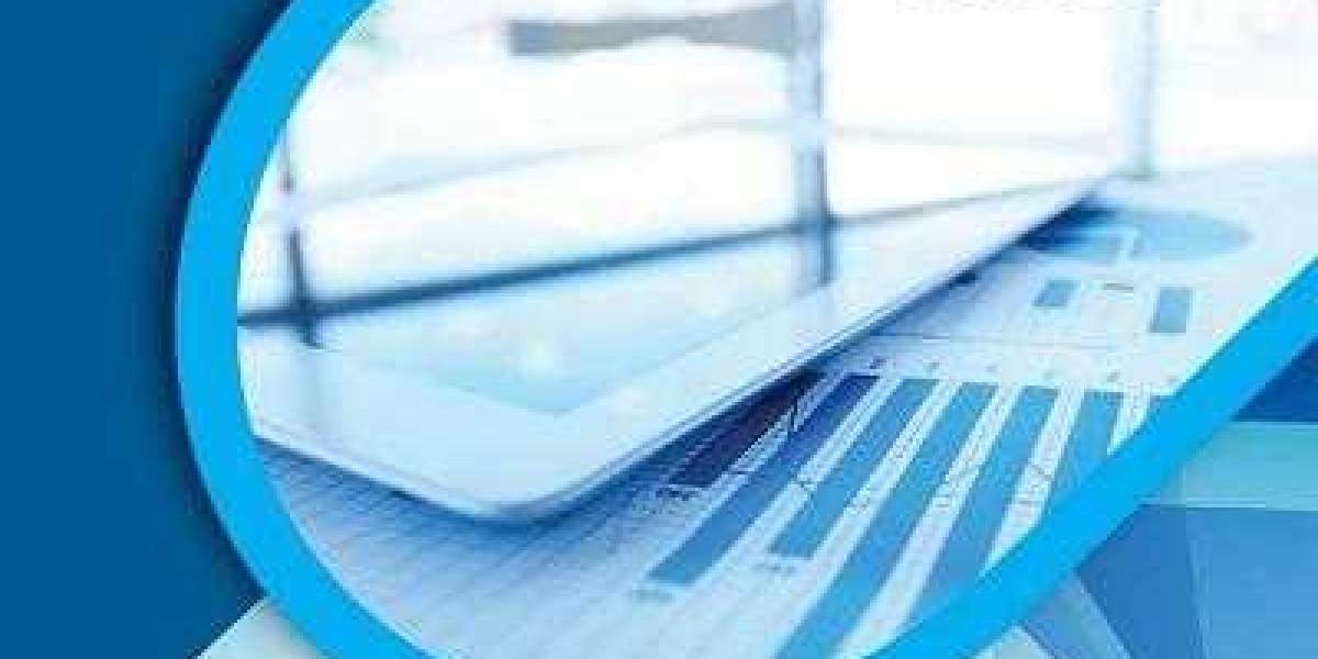 U.S. Flip Flops Market Outlook: Industry Insights, Competitive Landscape, and Future Opportunities