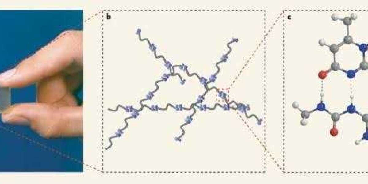 Article Picture