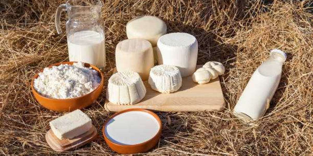 Goat Milk Products Market Expands With Premium Dairy Innovation