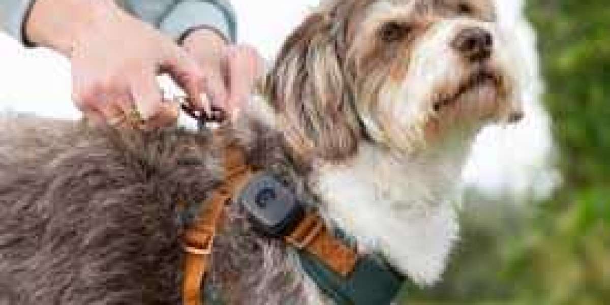 Pet Wearable Market Regional Growth Opportunities Across North America, Europe and Asia-Pacific