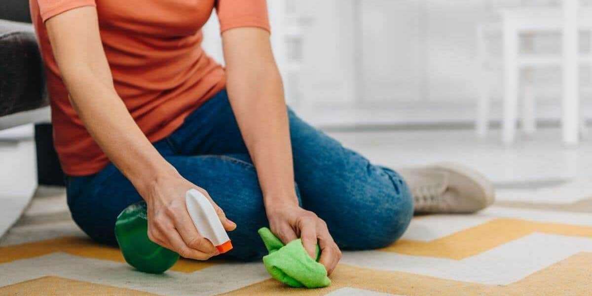 What Are the Most Common Causes of Carpet Damage?
