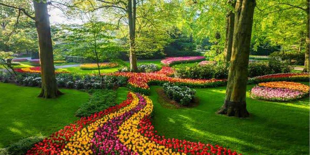 Unforgettable Mountain Escapes and the Most Beautiful Places to Experience in Murree