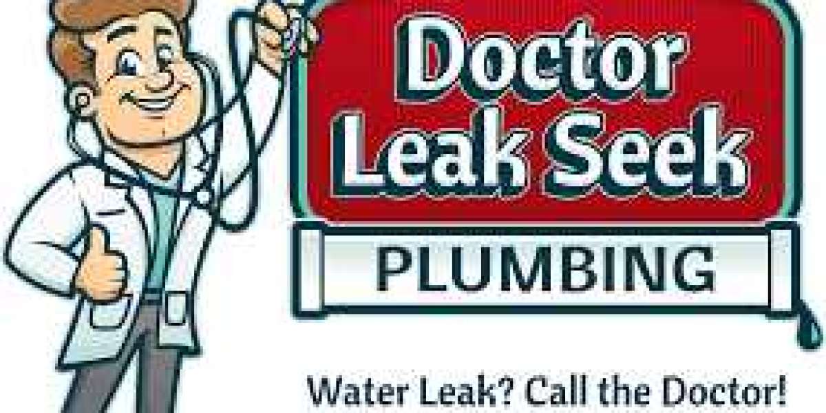 Water is a precious commodity in Mesa, Arizona, but when a hidden leak develops inside your home or underground, it quic