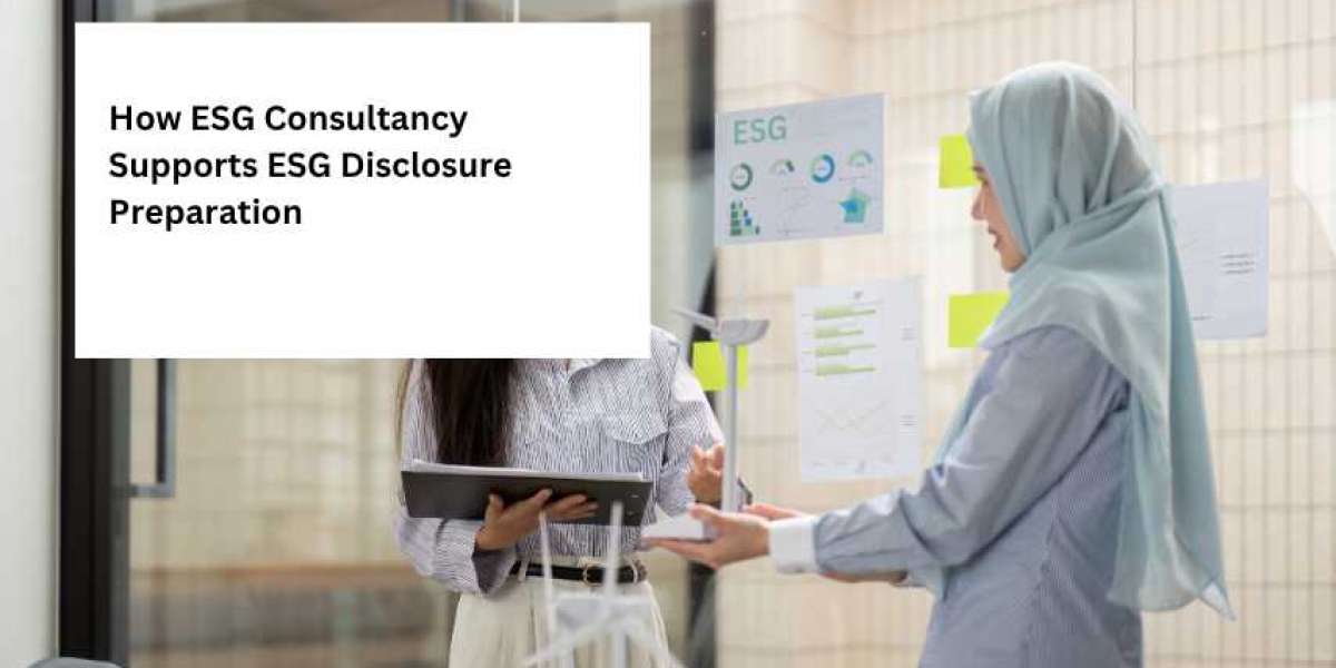 How ESG Consultancy Supports ESG Disclosure Preparation