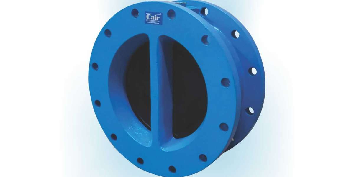 Dual Plate Check Valve Manufacturer in India | Double Flanged NRV