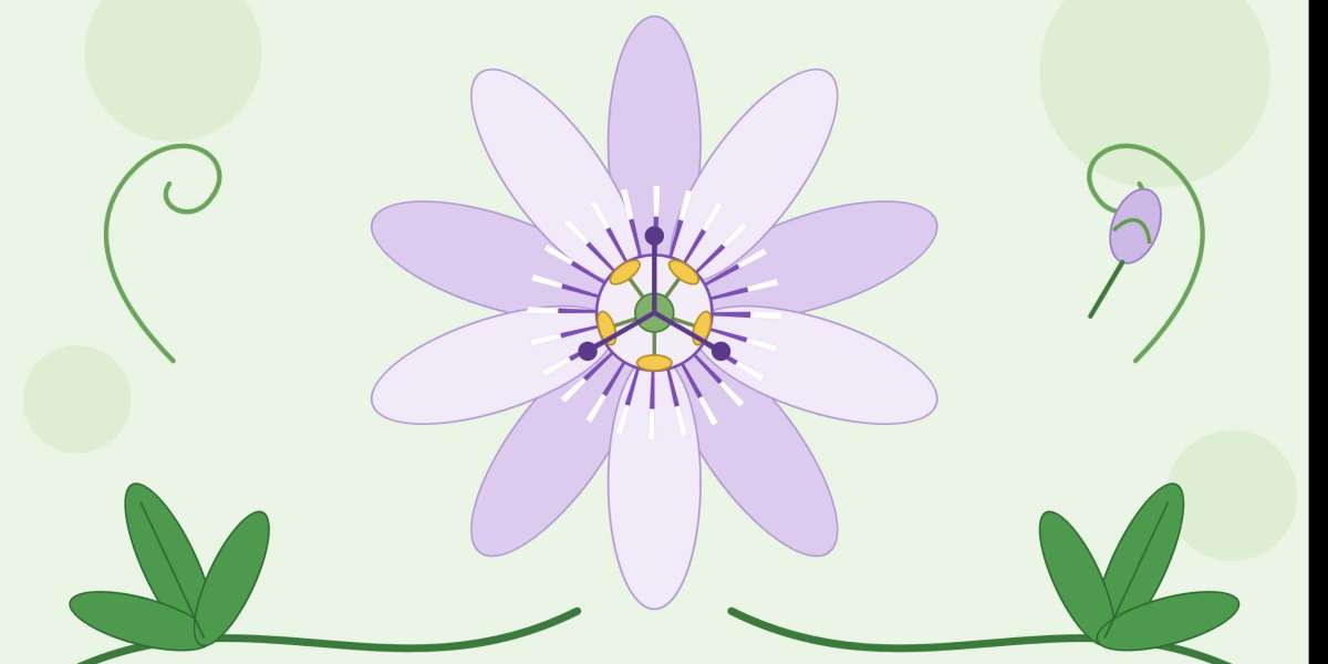 Passiflora Incarnata - A Complete Guide to Growing Passion Flower