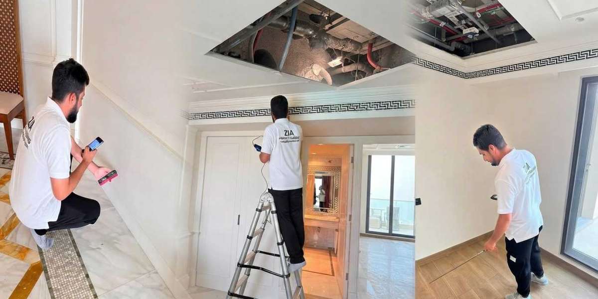 Professional Property Inspection Services in Dubai