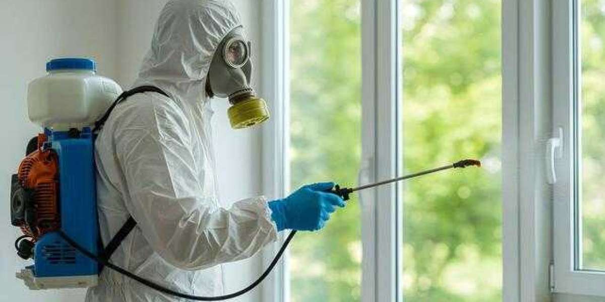 Professional Rodent Control in Staten Island, NY