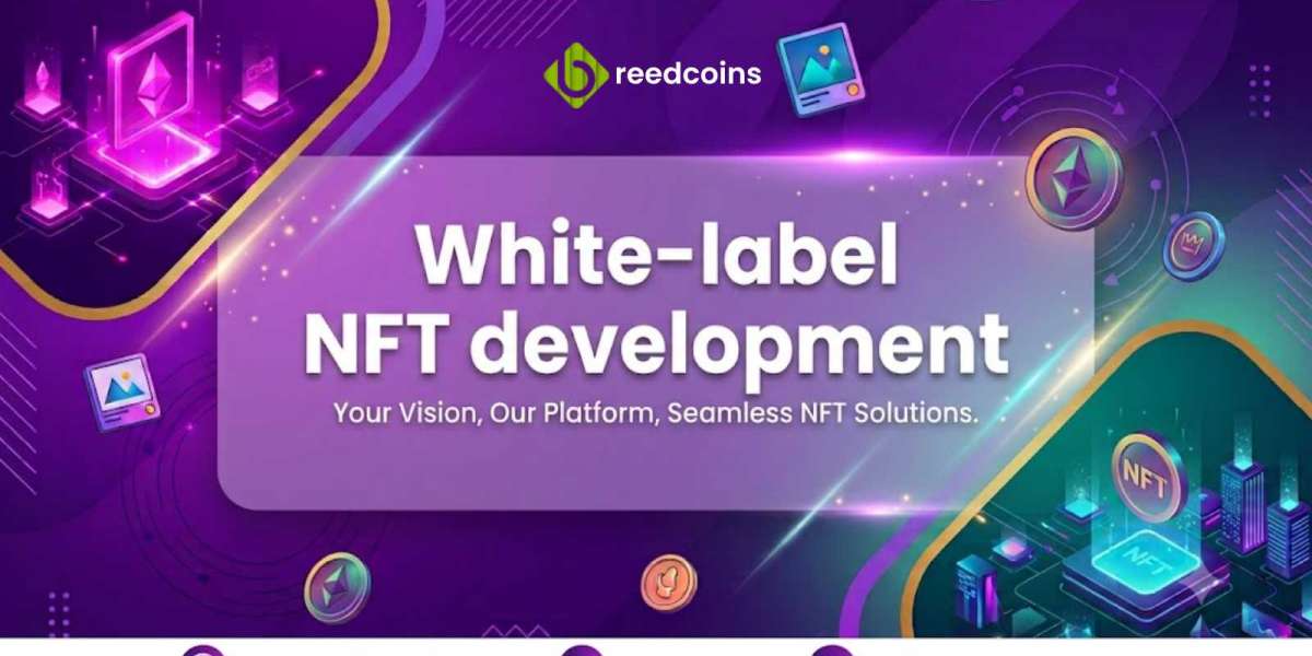 White-Label NFT Development for Scalable and Revenue-Driven Web3 Ventures