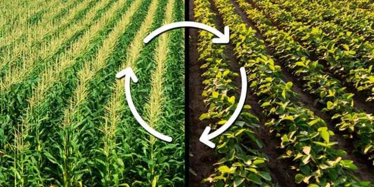 Gramiti: Your Online Shop for Farm Chemicals and Agricultural Inputs in India