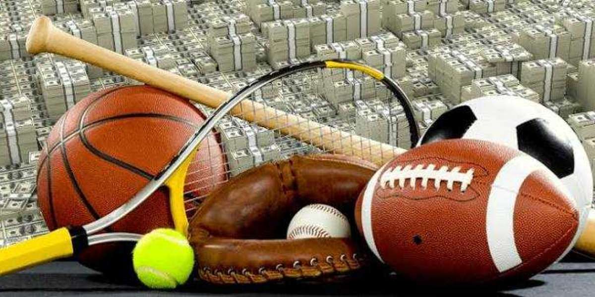 Exploring the Main Features of the Cricbet99.gold Betting Platform