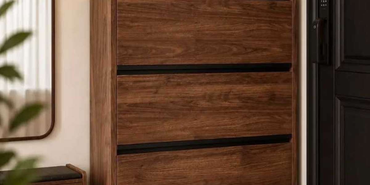 How Can a Shoe Cabinet Keep Shoes Dust-Free?