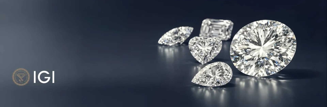 Elite Diam Cover Image